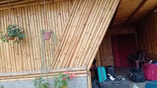 Bamboo house bijanbari