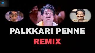 Palkkari Penne Remix