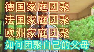 法国家庭团聚 德国家庭团聚 欧洲家庭团聚，家庭团聚父母难？？也许移民西班牙可以为您打开一扇大门