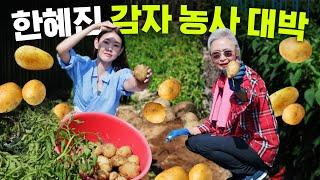 Han Hye Jin and her amazing farming reveals Olympic gold medal-worthy potatoes!(low-calorie mukbang)