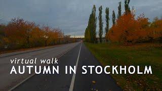 Nightfall in Stockholm suburbia - dull autumn walk along G:a Tyresövägen #4k #virtualwalk #stockholm