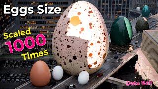 If Eggs Grew 1000 Times Bigger  | Imaginary Eggs size comparison in city