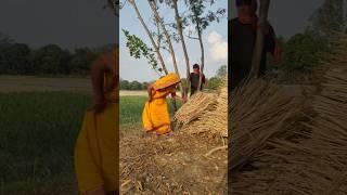 #TIMELAPSE: START to FINISH AloneBUILD LOG Cabin (Wooden House), How To Build Wooden Cabin, Survi