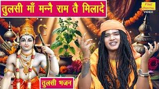 कार्तिक मॉस भजन | तुलसी माँ मन्नै राम तै मिलादे | Tulsi Maa Manne Ram Te Milade | Tulsi Mata Bhajan