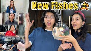 Ghrr mai ayein new fishes | Sistrology | Rabia Faisal