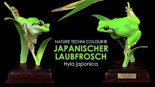 Nature Techni Colour ® Japanischer Laubfrosch / Japanese tree frog - Hyla japonica - Gashapon