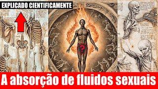 Como Nossos Fluidos Sexuais Nos Tornam Super Humanos Orgasmos Aceleram o Envelhecimento e a Morte