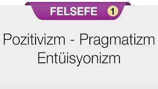 Bilgi Kuramının Temel Problemi - Doğru Bilginin İmkanı - Pozitivizm - Pragmatizm - Entüisyonizm