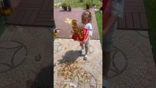Savvy Gets Caught With All The Gummy Bears 