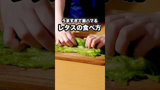 Even though it's lettuce, it goes well with rice for some reason [Green Onion Lettuce Roll] For d...