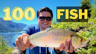 Epic River FISHING Marathon: 100 Fish in 48 Hours! (Catch Clean Cook)