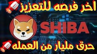 عمله Shiba وحرق مليار من العملهواخر فرصه لك للتعزيز استغلها