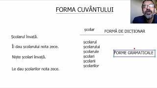 Cuvinte derivate