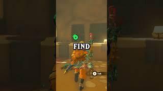 The WORST Way To Farm Rupees In Tears of the Kingdom... #totk #shorts #botw