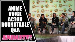 Anime Voice Actor Round Table Q&A at Animate Miami 2015