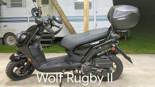 Wolf Rugby II