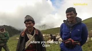 ongoing sheep trade in the himalaya || lajimbudha ||