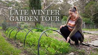 Early Morning Backyard Flower Farm & Cottage Garden Tour  Veggie Patch & Flower Updates