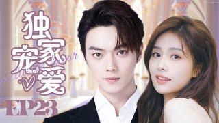 MUTLISUB【独家宠爱/Exclusive Fairytale】▶EP 23当美女编辑遇上霸道总裁两人从冤家路窄到彼此惺惺相惜看霸总如何虐妻一时爽追妻火葬场#许凯#白鹿️丸子甜宠剧场