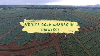 Verita Gold Ananas'ın Lezzet Yolculuğu