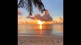 Sunset in the Maldives #shorts #nature