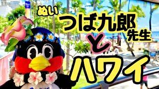 【アロハ】つば九郎ぬいとハワイ旅行満喫したよ