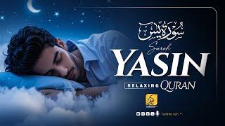Stunning Surah Yasin (Yaseen) سورة يس | Relaxing heart touching voice | Tadhkirah Tv
