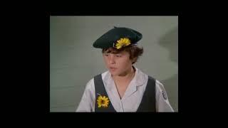 Peter's A Sunflower Girl ‍️(Funny Brady Bunch Clip)