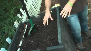 Backyard Compost