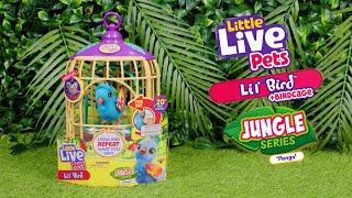 LITTLE LIVE PETS I LIL BIRD & CAGE AU DIGITAL VIDEO I 20