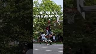 미국 길거리 농구 흑형동생들 무브 모음