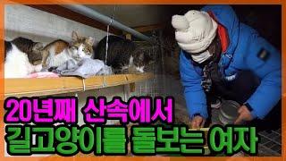 20년째 밤마다 산에서 길고양이들을 돌보는 여자.. 이웃 주민 반응은? [특종세상] MBN 201203 방송