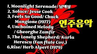 [연주음악]Moonlight Serenade/남택상 외 5곡