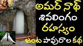 amarnath cave mystery | amarnath temple secret | amarnath real pigeon story amarnath yatra 2019