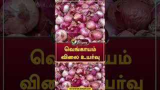 வெங்காயம் விலை உயர்வு  #Shorts #Onion