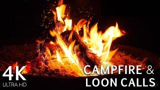 Loon Calls By The Fire On The Lake 4k 8 Hours