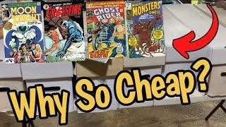 Finding Amazing COMICS at Incredible DEALS!