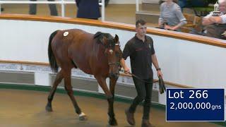 2,000,000gns Frankel Colt: Highest Priced Yearling in Europe in 2023