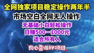 2023最正规靠谱最牛赚钱技术，老王正规蓝海网赚项目全网独家网络赚钱技术全部无保留教学包教包会，适合所有人操作，简单易学，学会就赚钱！