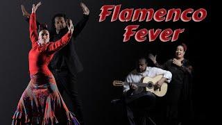 Flamenco Fever heats up Allen Library