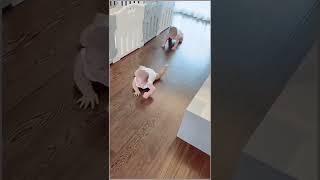 funny baby #shorts #cute #funny #comedy | #shorts9 #trending