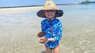 Shell Key Preserve - Dolphins, Flamingos, Conchs and More!