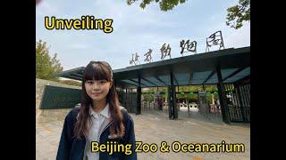 Unveiling Beijing Zoo and Beijing Oceanarium