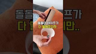 나만 몰랐던 청소꿀팁 3가지 #꼼수 #살림