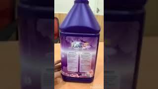 Nước giặt louis chuẩn hàng công ty labido Ánh Dương