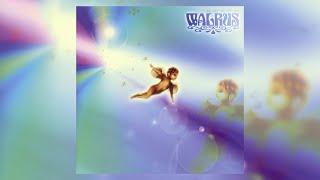 Walrus - 光のカケラ (2000) [Full Album]