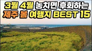 3월 4월 봄 제주도여행 BEST 15 | 1박2일 2박3일 꼭 가봐야 하는 제주 동쪽 서쪽 서귀포 코스