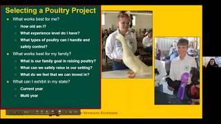 ND 4-H Poultry Showmanship – Virtual Clinic – May 11, 2020