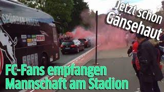 1. FC Köln gegen Mainz 05: Fans empfangen den Mannschaftsbus vor dem RheinEnergieStadion