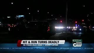 13-year-old victim of hit and run dies from injuries, driver arrested